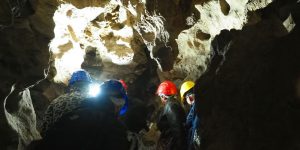 Entrades Coves del Pasteral 06-05-2026 (10:30 h)